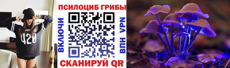 Галлюциногенные грибы Psilocybe  ссылка на мегу ссылка  Гороховец 